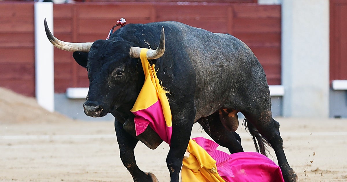 Zapatero y la botica de Saltillo