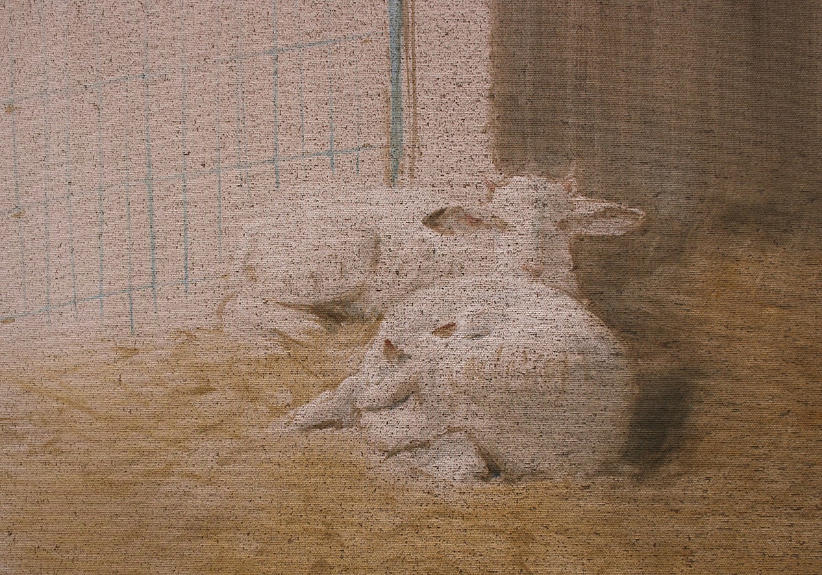 La fenoménica levedad de Antonio Montalvo