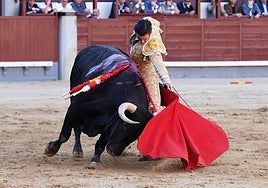 Tarde de toreros