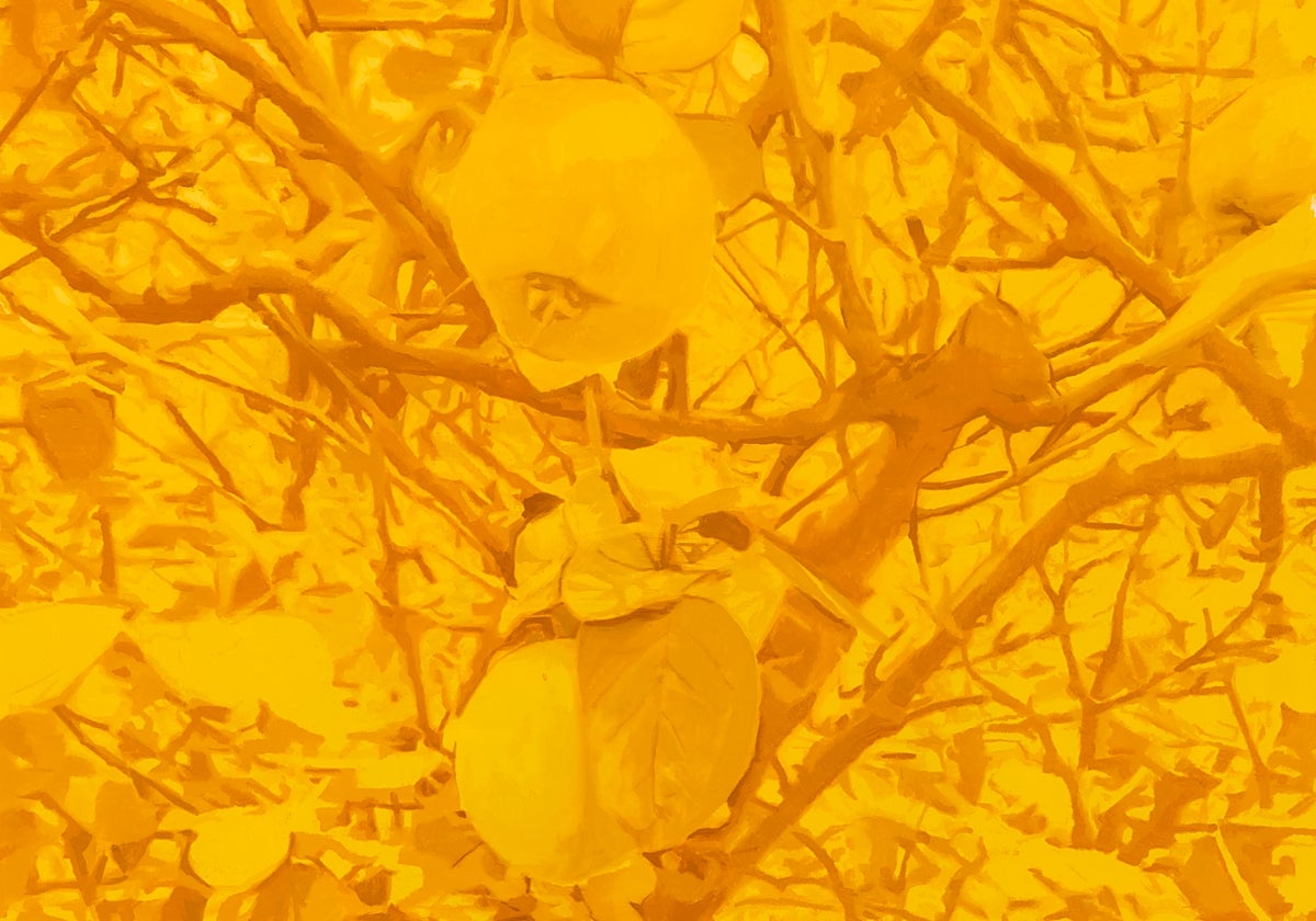 Alberto Montes, la Naturaleza en los márgenes