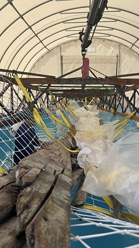Imagen secundaria 2 - Sacan a flote por primera vez en España un barco romano entero