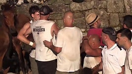 Calurosa Rapa das Bestas en Sabucedo con un horario cambiado por las elevadas temperaturas