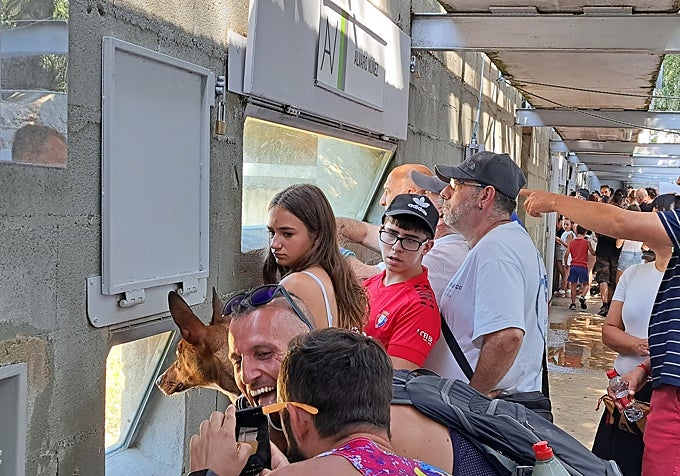 Tibu no pierde detalle de los toros de Álvaro Núñez a través de la ventanita inferior