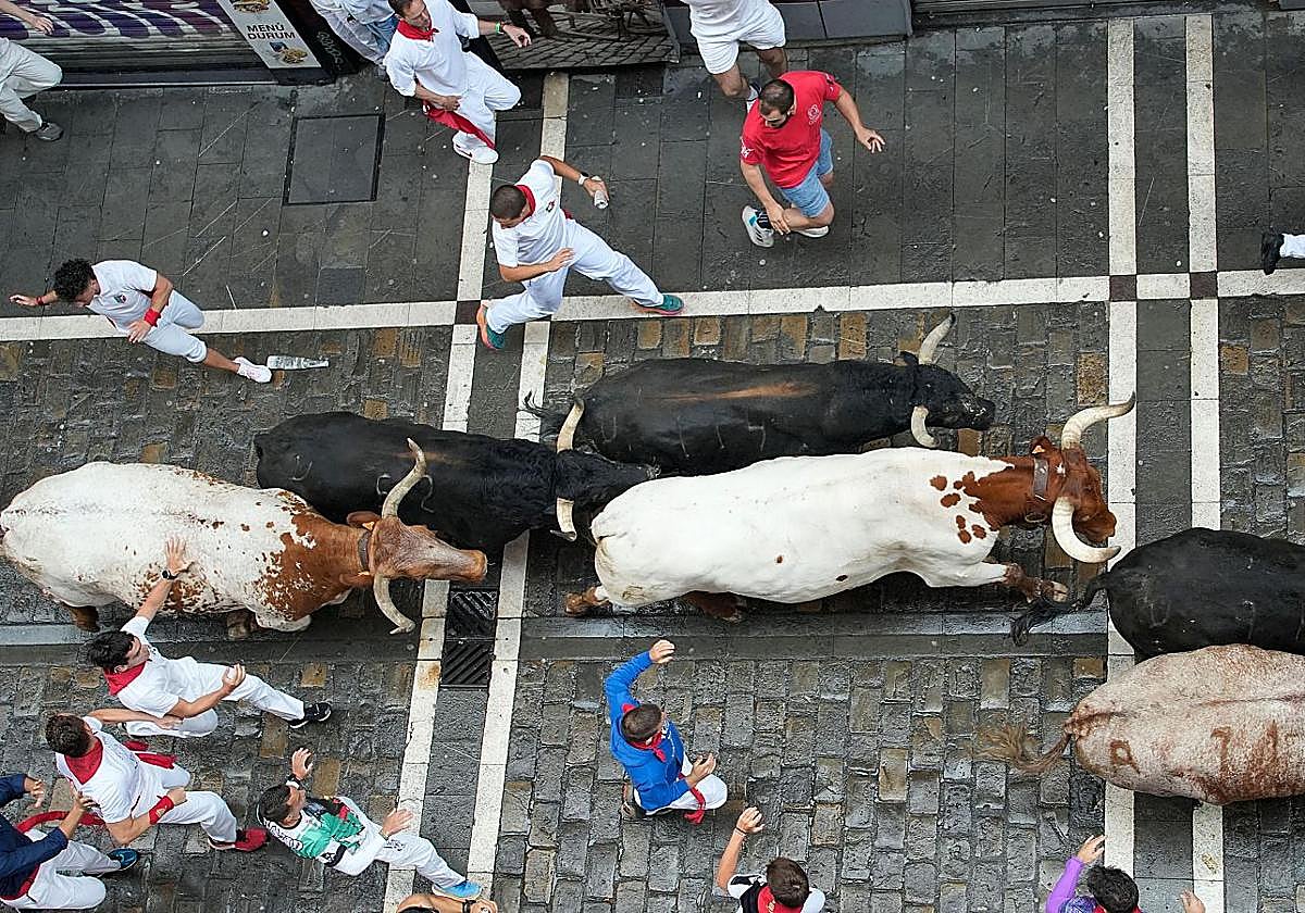 Turno para los toros de La Palmosilla en un multitudinario encierro en Pamplona