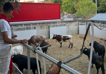 La espera de un joven, a horas del encierro: «Si no hubiera miedo, no seríamos capaces de correr»
