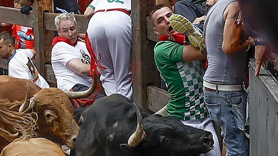 Los toros de Álvaro Núñez esperan a Morante después de protagonizar un encierro muy vistoso el cuarto día