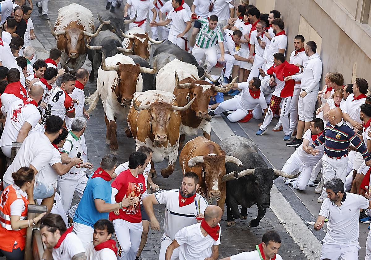 Los toros de Escolar se abren paso en la muchedumbre en el quinto encierro