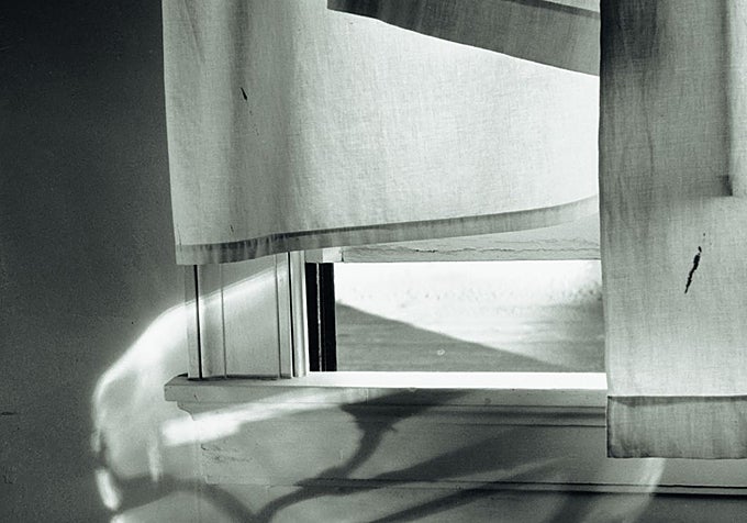 Detalle de una de las obras de Minor White en Mapfre KBr
