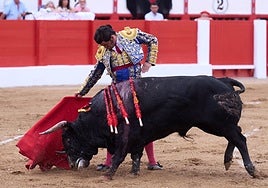 Una becerrada para Morante