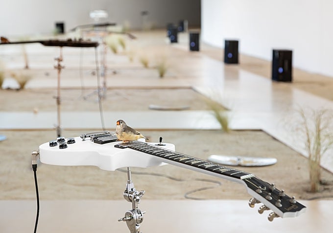 Obra de Céleste Boursier-Mougenot en el MAAT