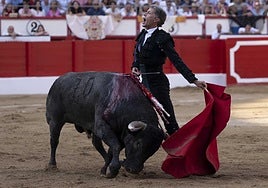 Victorino pone orden con los toros que surcaban la tierra