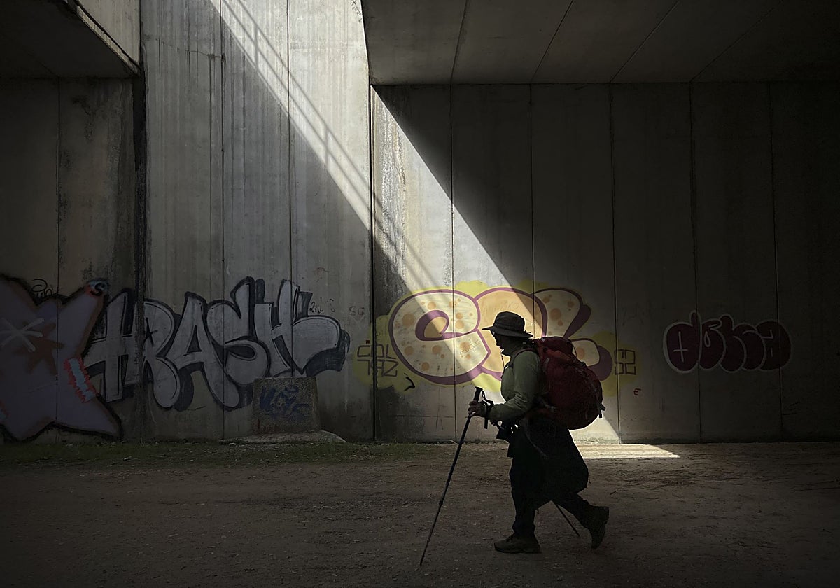 El otro Camino de Santiago: peregrinar para no pasar hambre
