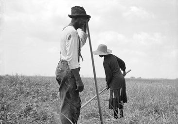 Dorothea Lange, una mirada puesta en la lucha y la desesperación