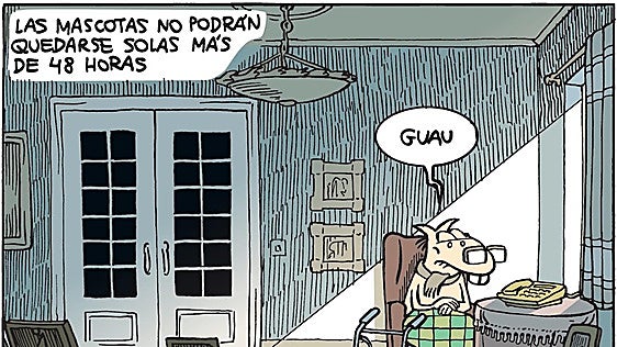 Cuando los animales son los que sujetan la correa