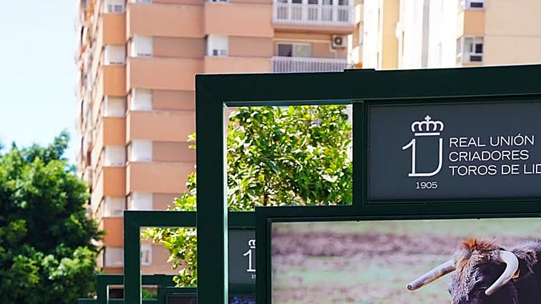 Málaga acoge la mayor exposición al aire libre sobre el toro bravo y la biodiversidad