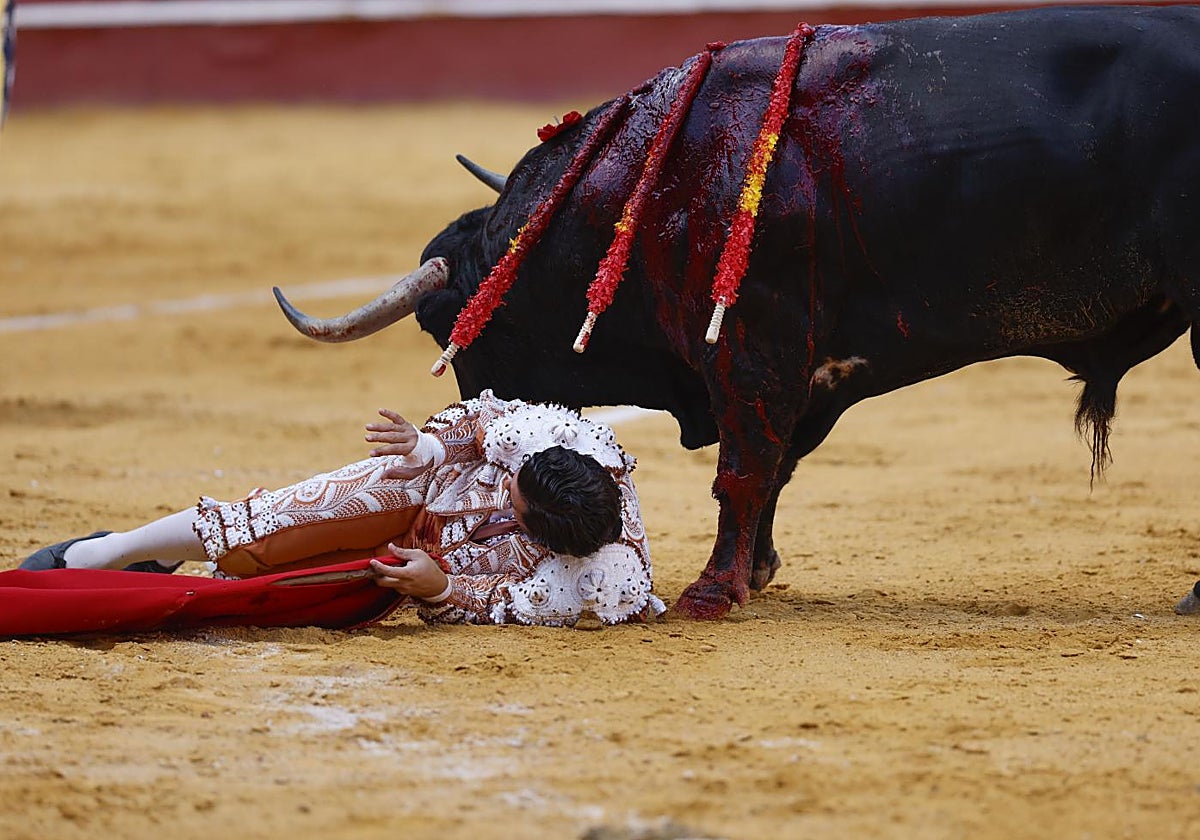 Morante se olvida del cuerpo, los toros de la bravura y el palco del rigor