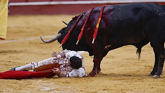 Morante se olvida del cuerpo, los toros de la bravura y el palco del rigor