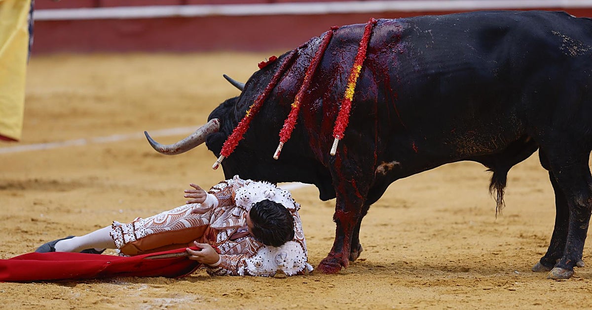 Morante se olvida del cuerpo, los toros de la bravura y el palco del rigor