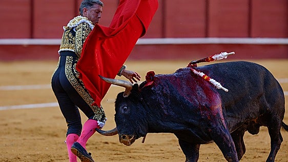 Manuel Escribano, intervenido de una cornada en el músculo tibial de la pierna derecha