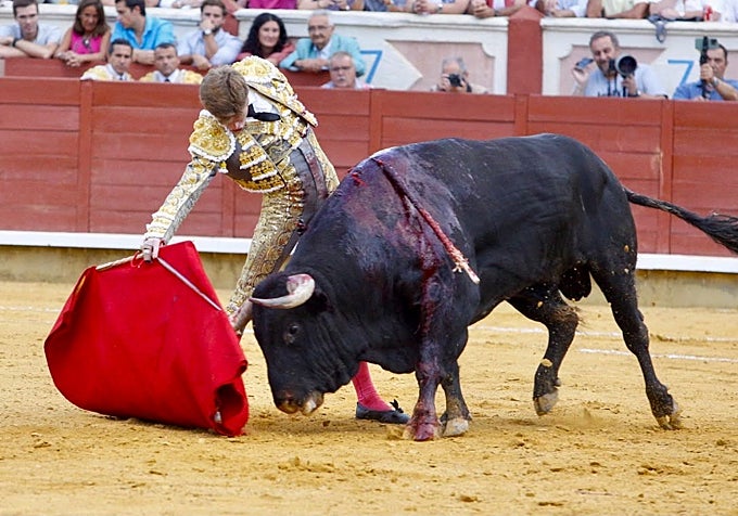 Borja con el sexto