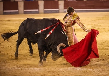 El gozo de querer ver embestir setecientos veinte kilos… en un pozo