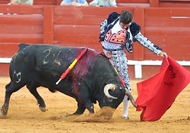 La armónica rebelión de Morante en la goyesca del Motín de Aranjuez