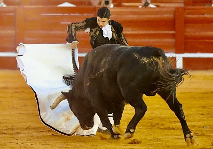 Pablo Aguado, por chicuelinas con un capote blanco