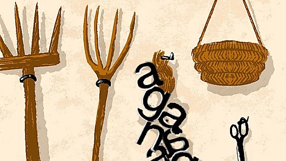Las cosas del campo