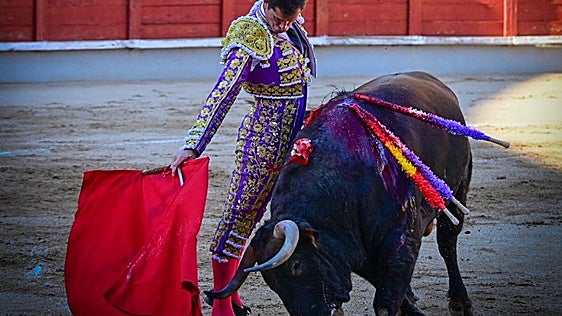 El magisterio de Luque haría embestir hasta al gallo Manolo