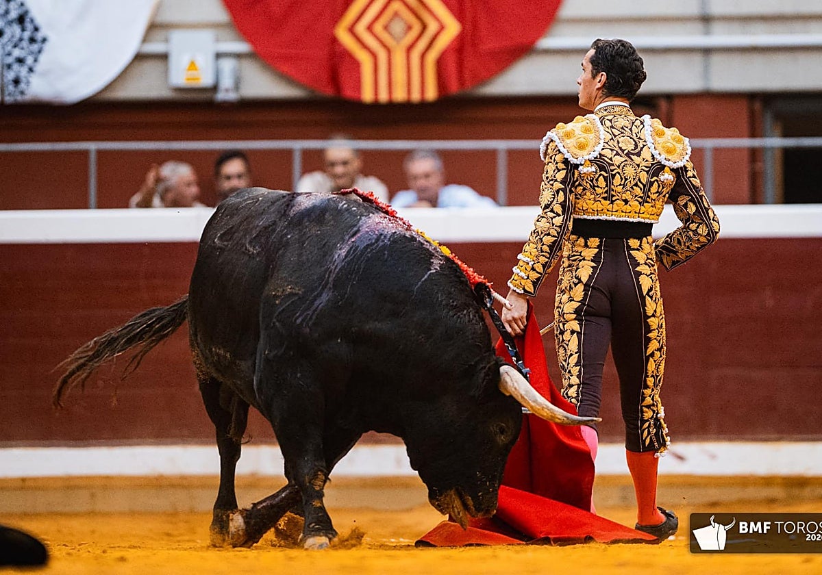 Daniel Luque, o la historia de una oreja que nadie intuía
