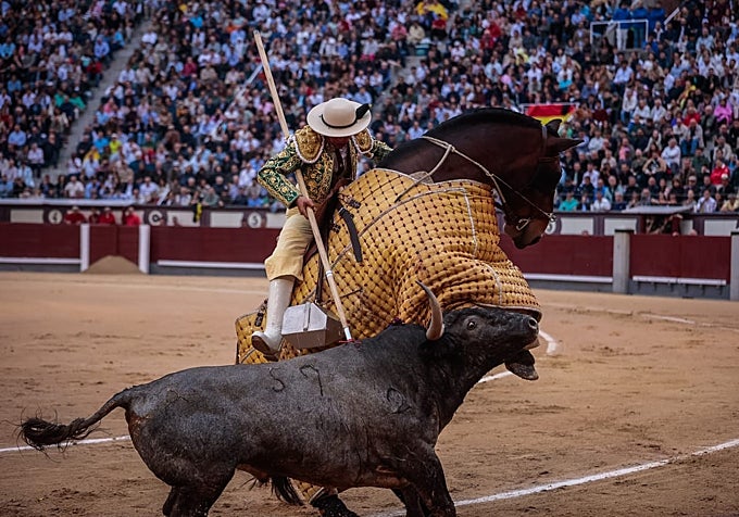 Verdadero en el caballo