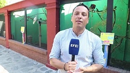 Un cuento inspirado en 'Lolo', un guacamayo de Almuñécar, transmite valores de bienestar animal