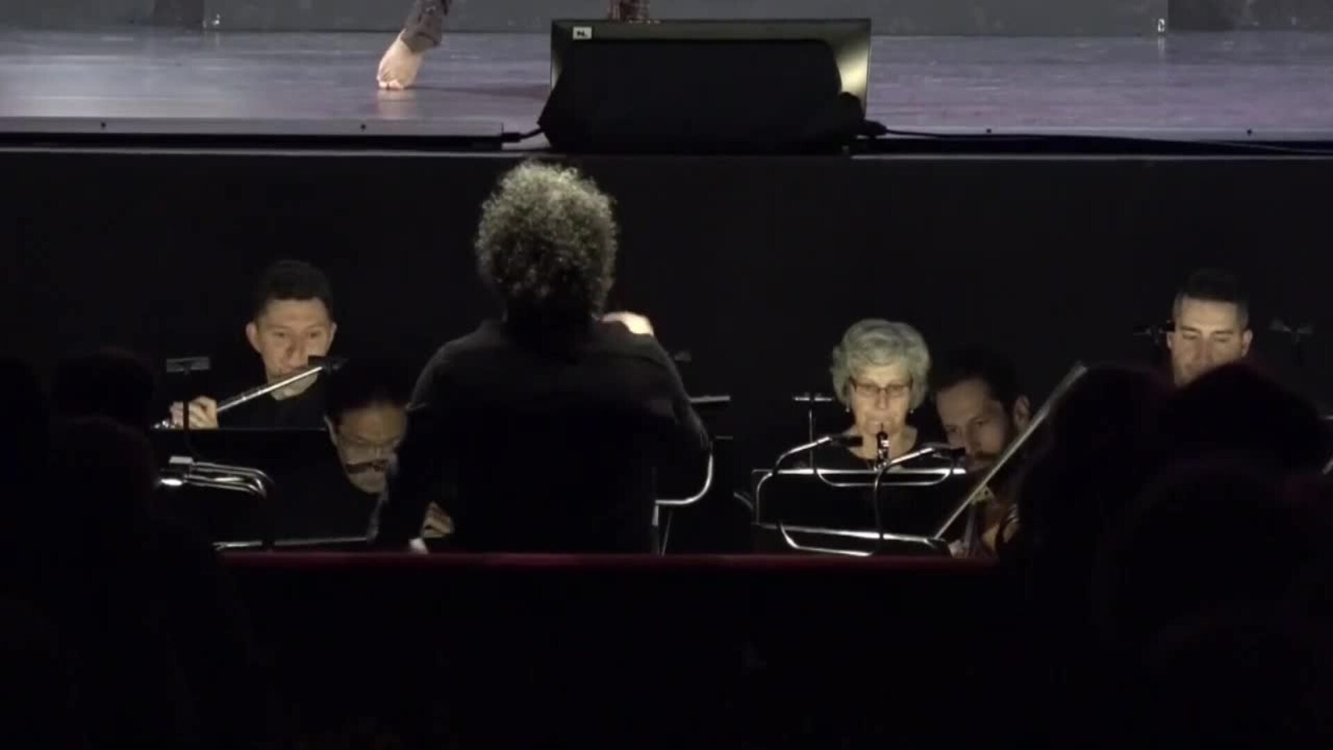 El Liceu acoge un &#039;Fidelio&#039; dirigido por Dudamel, creado para público sordo y oyente