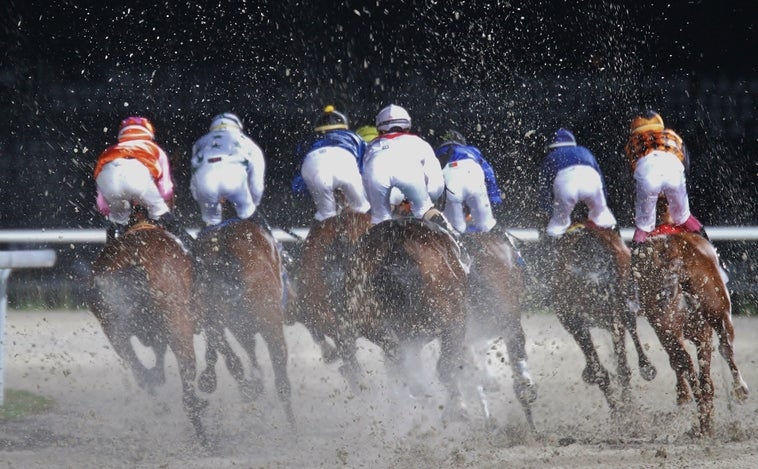 Jueves de Planazo con las noches del hipódromo