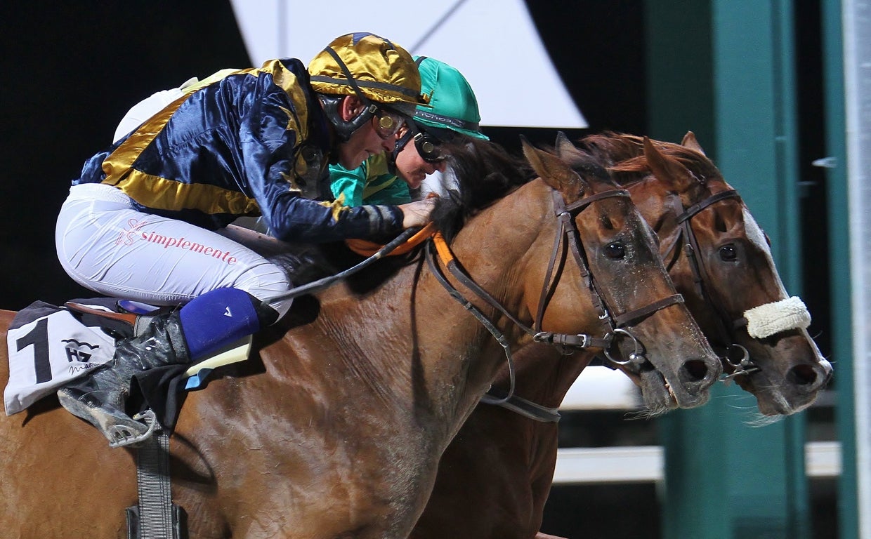 Emoción de las 'Noches del Hipódromo'