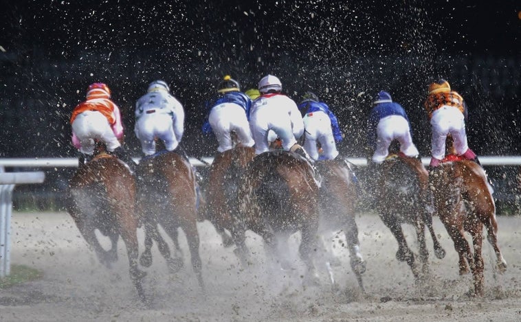 Las 'Noches del Hipódromo', tu planazo de sábado