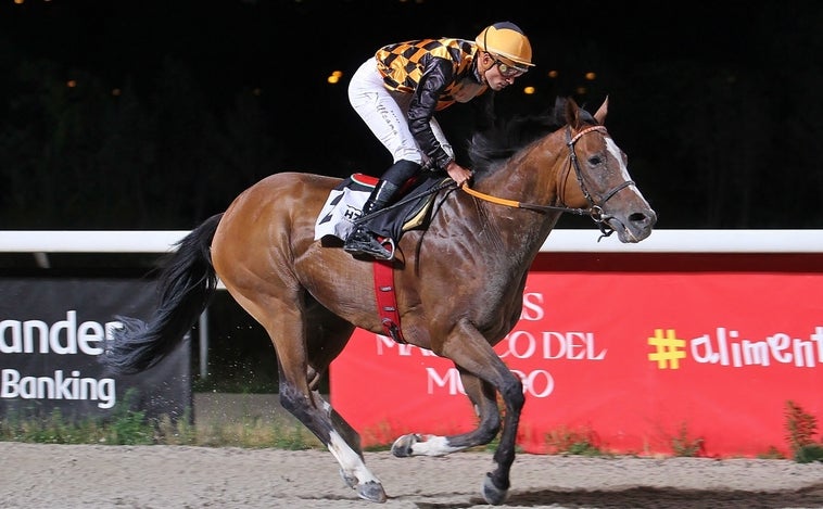 Penúltimo jueves de triunfo con las 'Noches del Hipódromo'