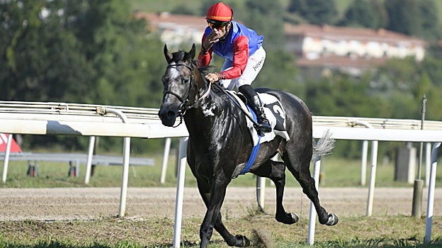 «LISICLES» - 1ª CARRERA «PREMIO EASO EDARI BANAKETAK»