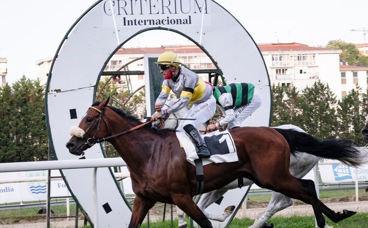 El Hipódromo de San Sebastián corona este domingo al mejor dos años del momento