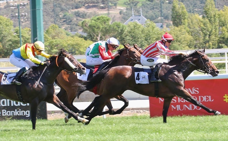 El Campeón 'Rodaballo', reaparece en el Premio Partipral, preparatoria del Hispanidad