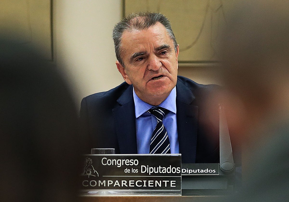 José Manuel Franco, presidente del CSD, este martes en el Congreso