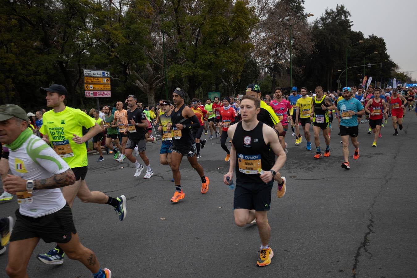 Diferentes momentos del Zurich Maratón de Sevilla 2023