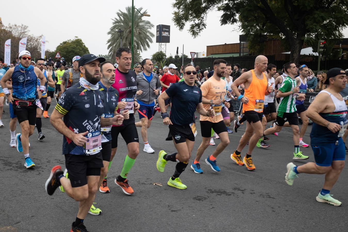 Diferentes momentos del Zurich Maratón de Sevilla 2023