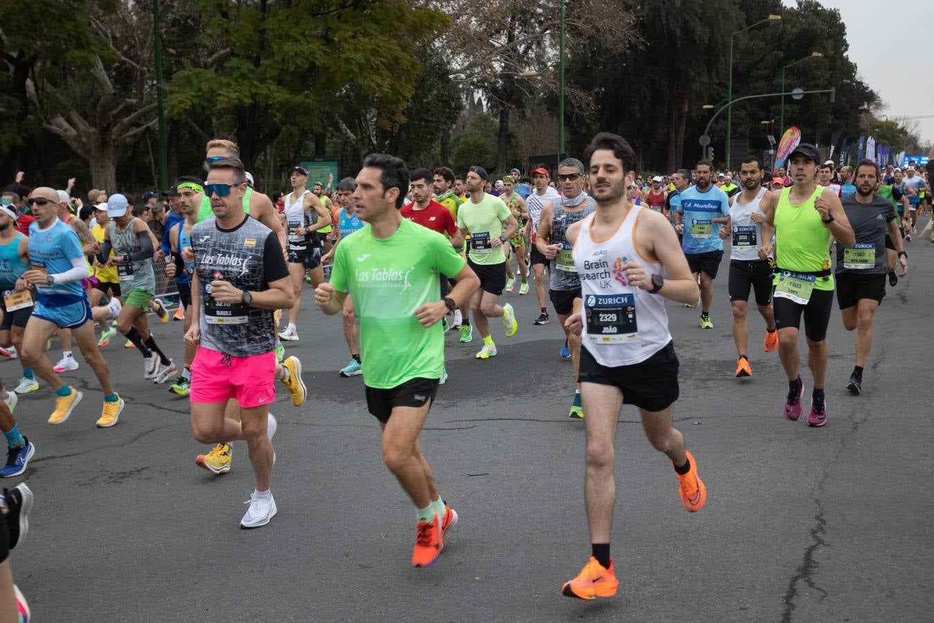 Diferentes momentos del Zurich Maratón de Sevilla 2023