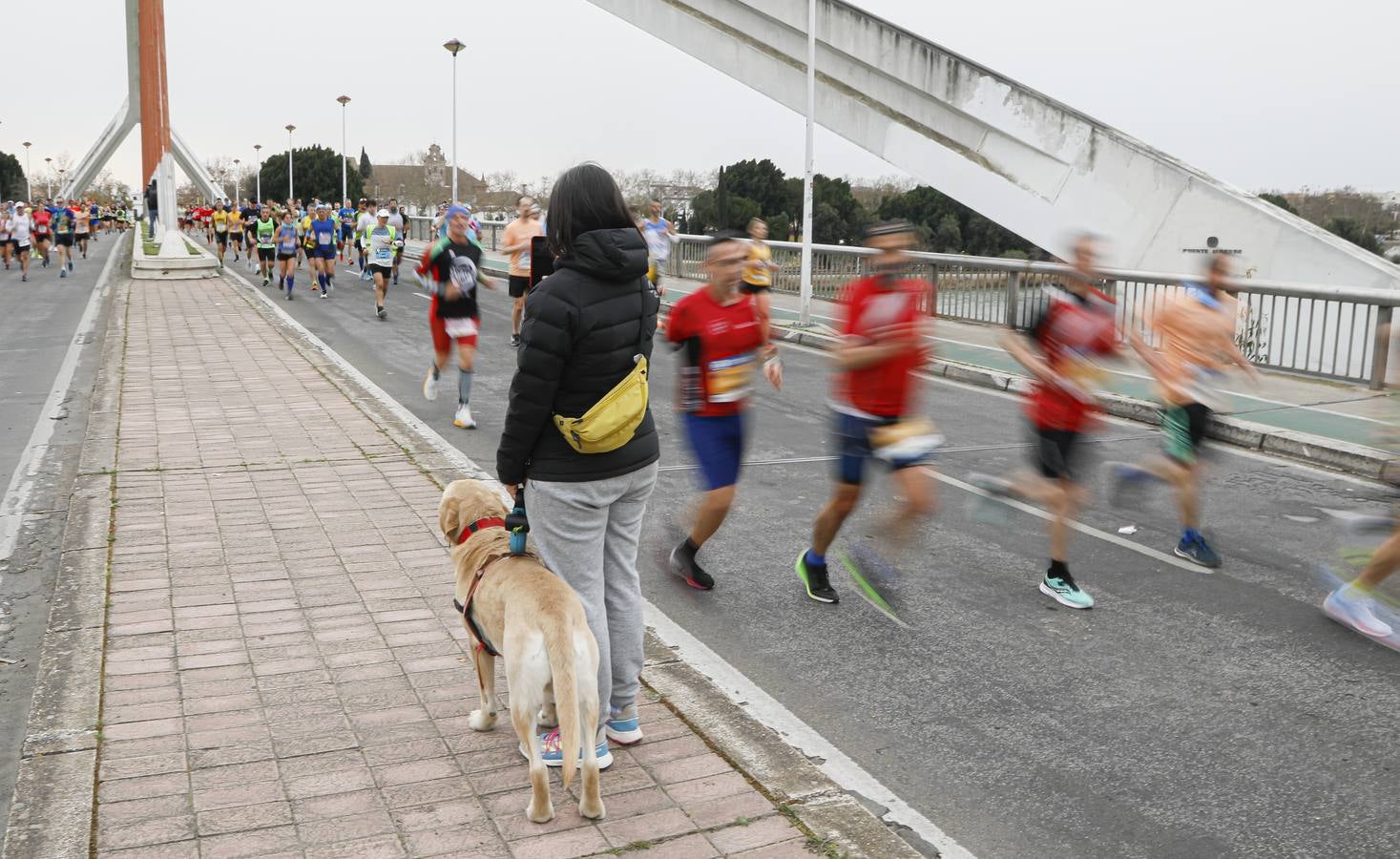 Participantes en el Maratón de Sevilla 2023