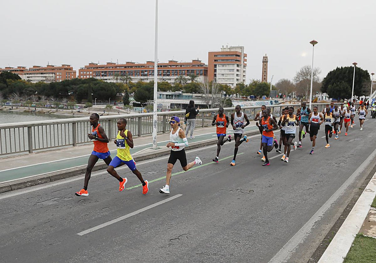 Participantes en el Maratón de Sevilla 2023