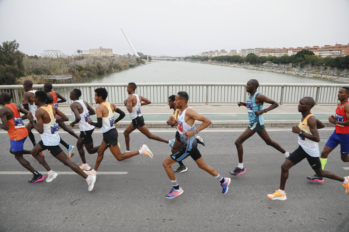 Participantes en el Maratón de Sevilla 2023