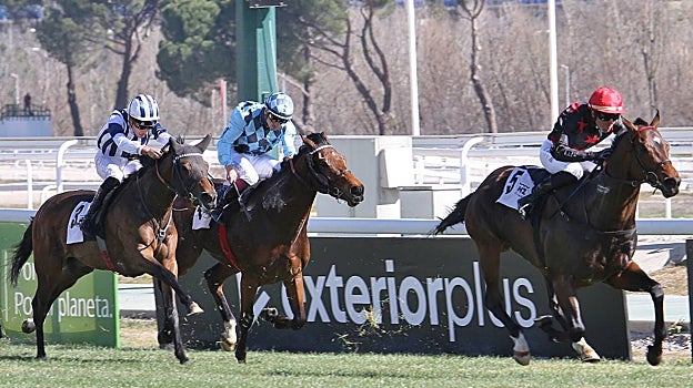 «CLIFFORD» - 1ª CARRERA «PREMIO AKELARRE»