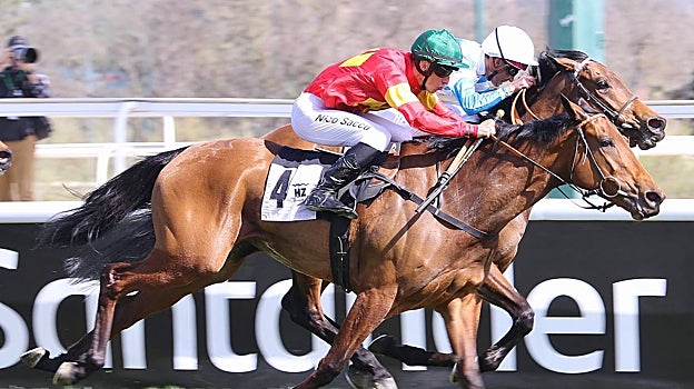 «ADAAYLIGHT DANCER» - 6ª CARRERA «PREMIO KALAWELSH»