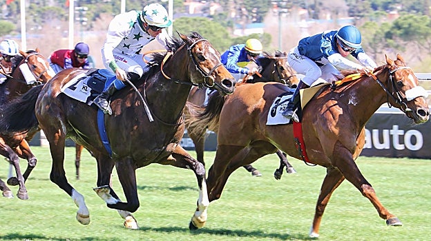 King of Jungle venció en el Premio Chamartín